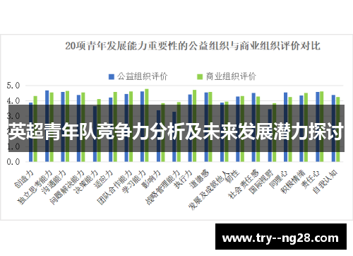 英超青年队竞争力分析及未来发展潜力探讨